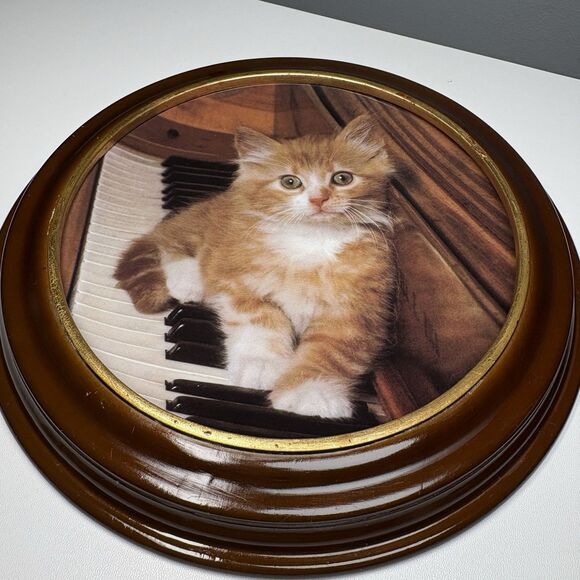 KITTEN ON THE KEYS  Kitty Collector’s Plate - Picture 1 of 4